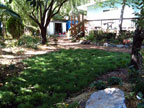 Dellamadre