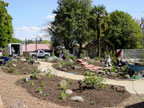Healdsburg Spa