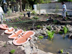 Healdsburg Spa