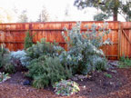 Healdsburg Spa