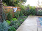 Healdsburg Spa