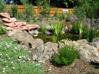 Healdsburg Spa