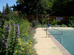 Healdsburg Spa