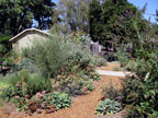 Healdsburg Spa