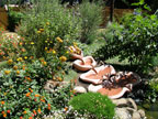 Healdsburg Spa