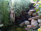 Permaculture Neighborhood Center