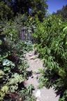 Permaculture Neighborhood Center