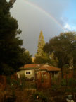 Permaculture Neighborhood Center