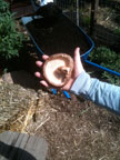 Permaculture Neighborhood Center