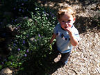 Permaculture Neighborhood Center