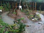 Permaculture Neighborhood Center
