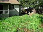 Permaculture Neighborhood Center