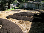 Permaculture Neighborhood Center