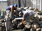 Permaculture Neighborhood Center