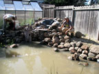 Permaculture Neighborhood Center