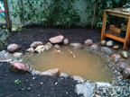 Permaculture Neighborhood Center
