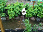Permaculture Neighborhood Center
