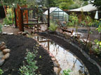 Permaculture Neighborhood Center