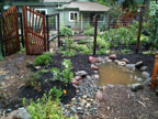 Permaculture Neighborhood Center
