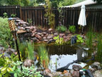 Permaculture Neighborhood Center