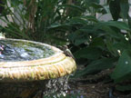 Permaculture Neighborhood Center