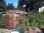 Permaculture Neighborhood Center