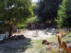 Permaculture Neighborhood Center