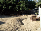 Permaculture Neighborhood Center