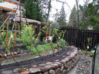 Permaculture Neighborhood Center