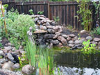 Permaculture Neighborhood Center