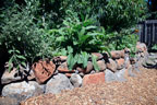 Permaculture Neighborhood Center