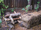 Permaculture Neighborhood Center