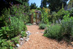 Permaculture Neighborhood Center