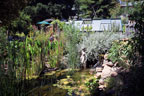 Permaculture Neighborhood Center