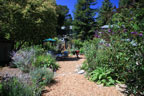 Permaculture Neighborhood Center