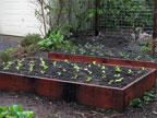 Permaculture Neighborhood Center