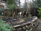 Permaculture Neighborhood Center