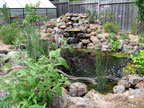 Permaculture Neighborhood Center