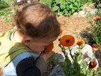 Permaculture Neighborhood Center