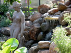 Permaculture Neighborhood Center