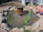 Permaculture Neighborhood Center