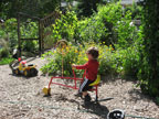 Permaculture Neighborhood Center