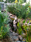 Permaculture Neighborhood Center