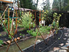 Permaculture Neighborhood Center