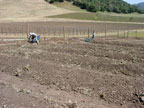 Skipstone Ranch