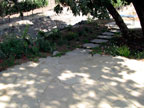 Skipstone Ranch