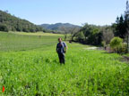 Skipstone Ranch