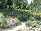Sunrise Ridge Gardens