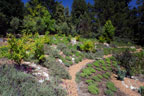 Sunrise Ridge Gardens