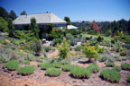 Sunrise Ridge Gardens